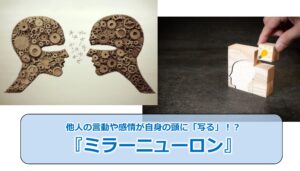 No.330_他人の言動や感情が自身の頭に「写る」！？『ミラーニューロン』