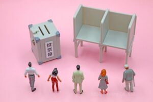 投票前に取得した情報がどんな影響を及ぼすのか？