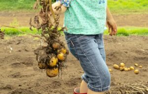 体験や経験を得る「コト消費」を重視する価値観へシフト