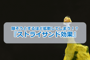 隠そうとするほど拡散してしまう！？『ストライサンド効果』