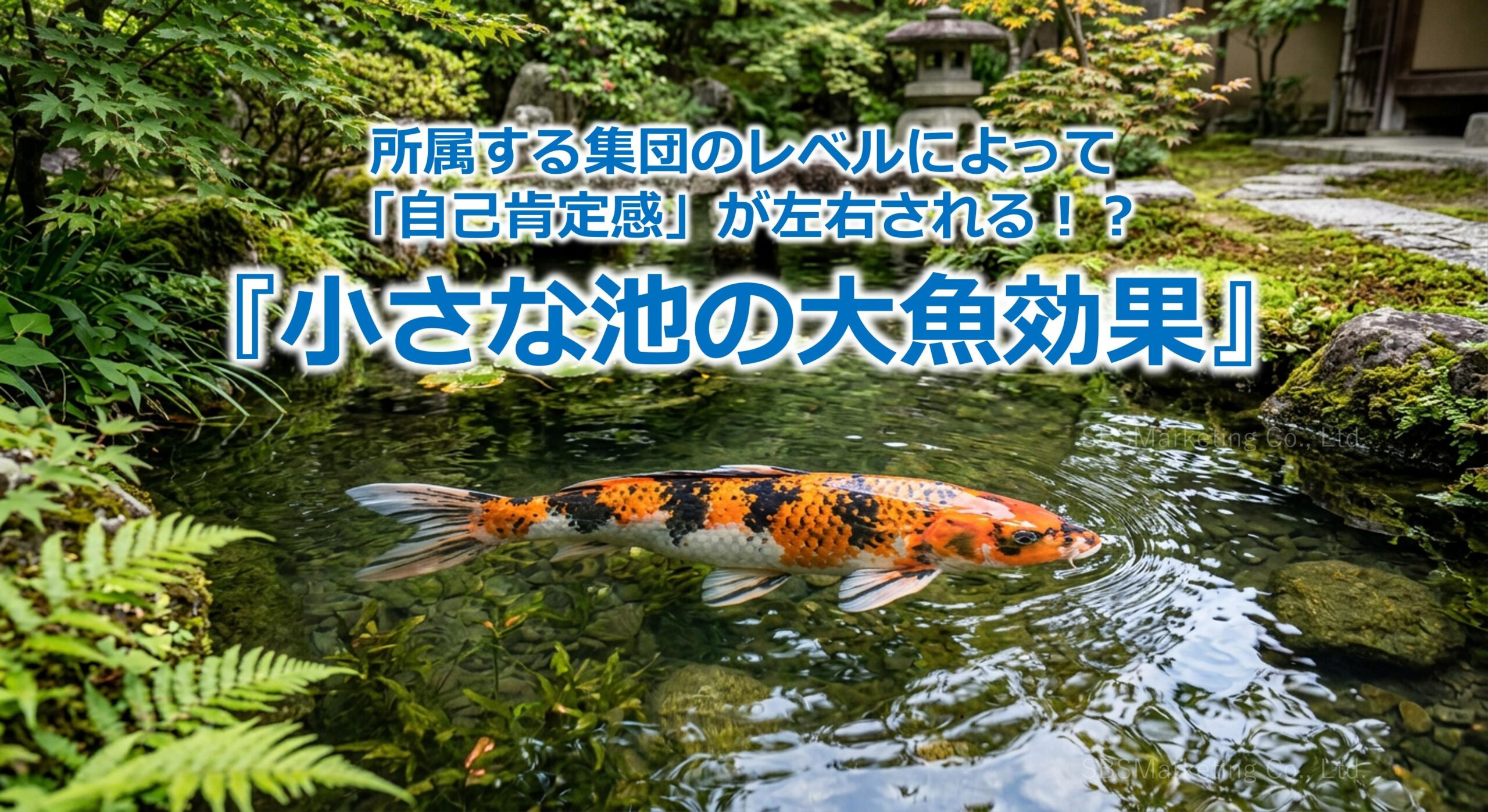 所属する集団のレベルによって「自己肯定感」が左右される！？『小さな池の大魚効果』